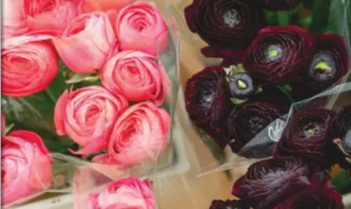 January - February 2022