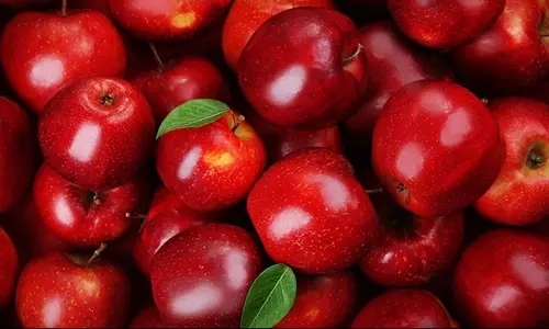 Transport apples under Cold Transport conditions Transport apples under Cold Transport conditions