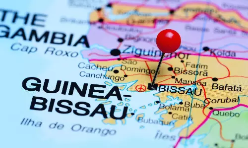 Why ocean rates are surprisingly controlled this Bissau cashew season Why ocean rates are surprisingly controlled this Bissau cashew season