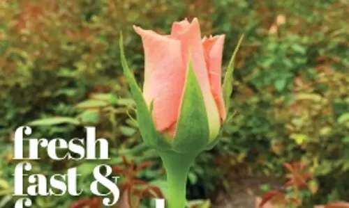 November - December 2022