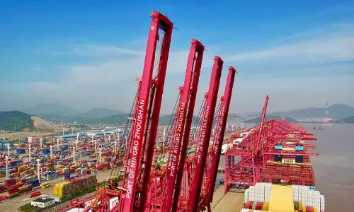 Slowdown to continue post-LNY, says Freightos Slowdown to continue post-LNY, says Freightos