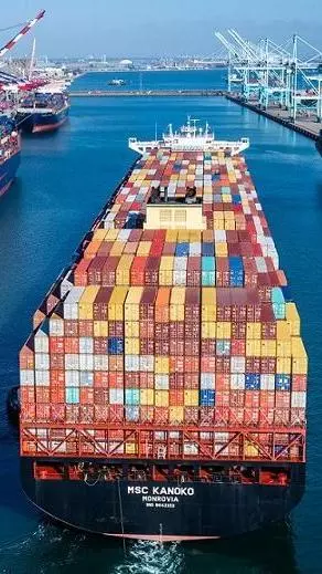 Carriers cancel 21% sailings till mid-Feb: Drewry