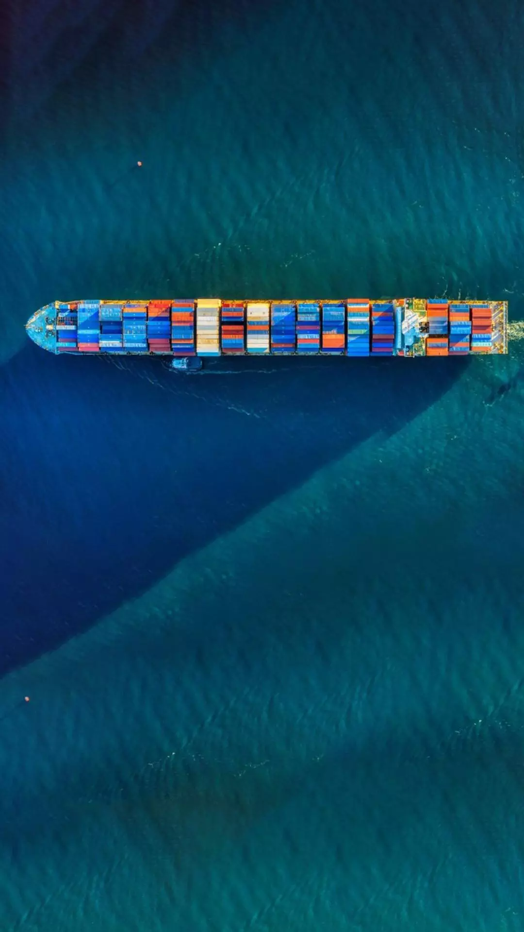 40Seas gets $111 million funding from ZIM, Team8