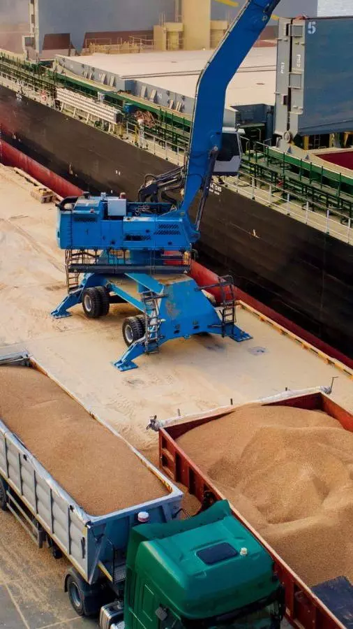 Dry bulk exports from Ukraine down 78% in one year