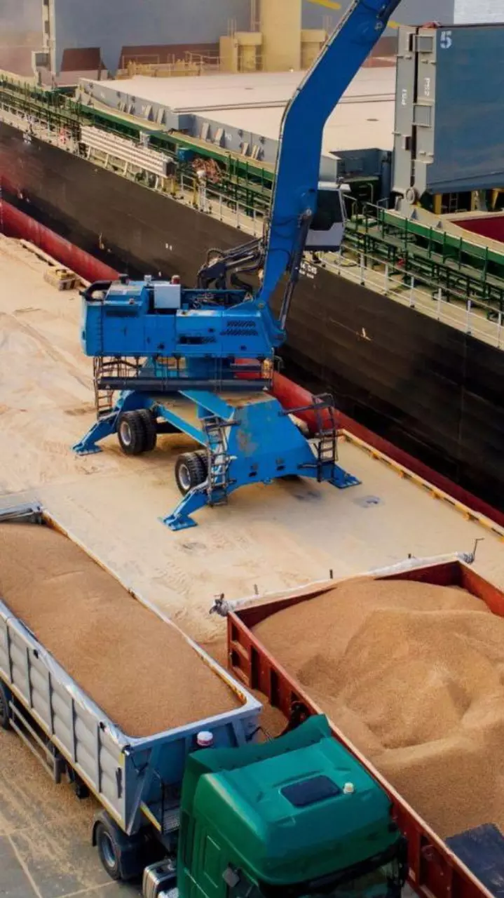 Dry bulk exports from Ukraine down 78% in one year