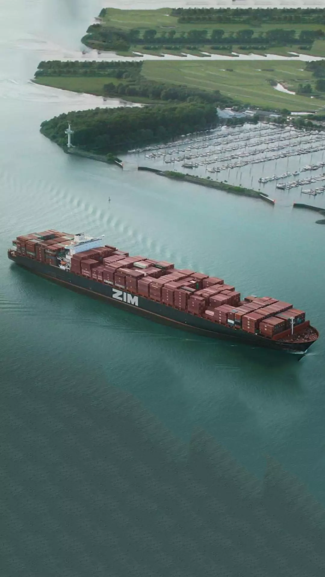 ZIM 2022 revenue up 12% at $12.5bn