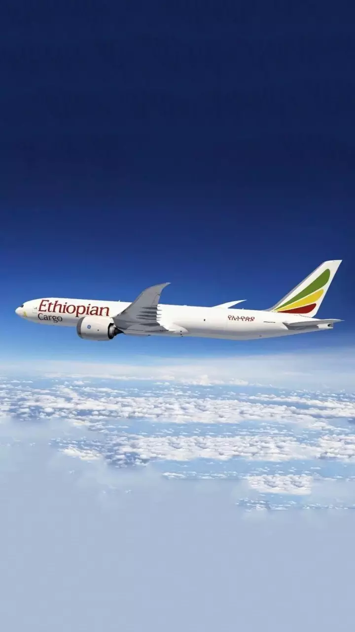 IATA to launch Focus Africa