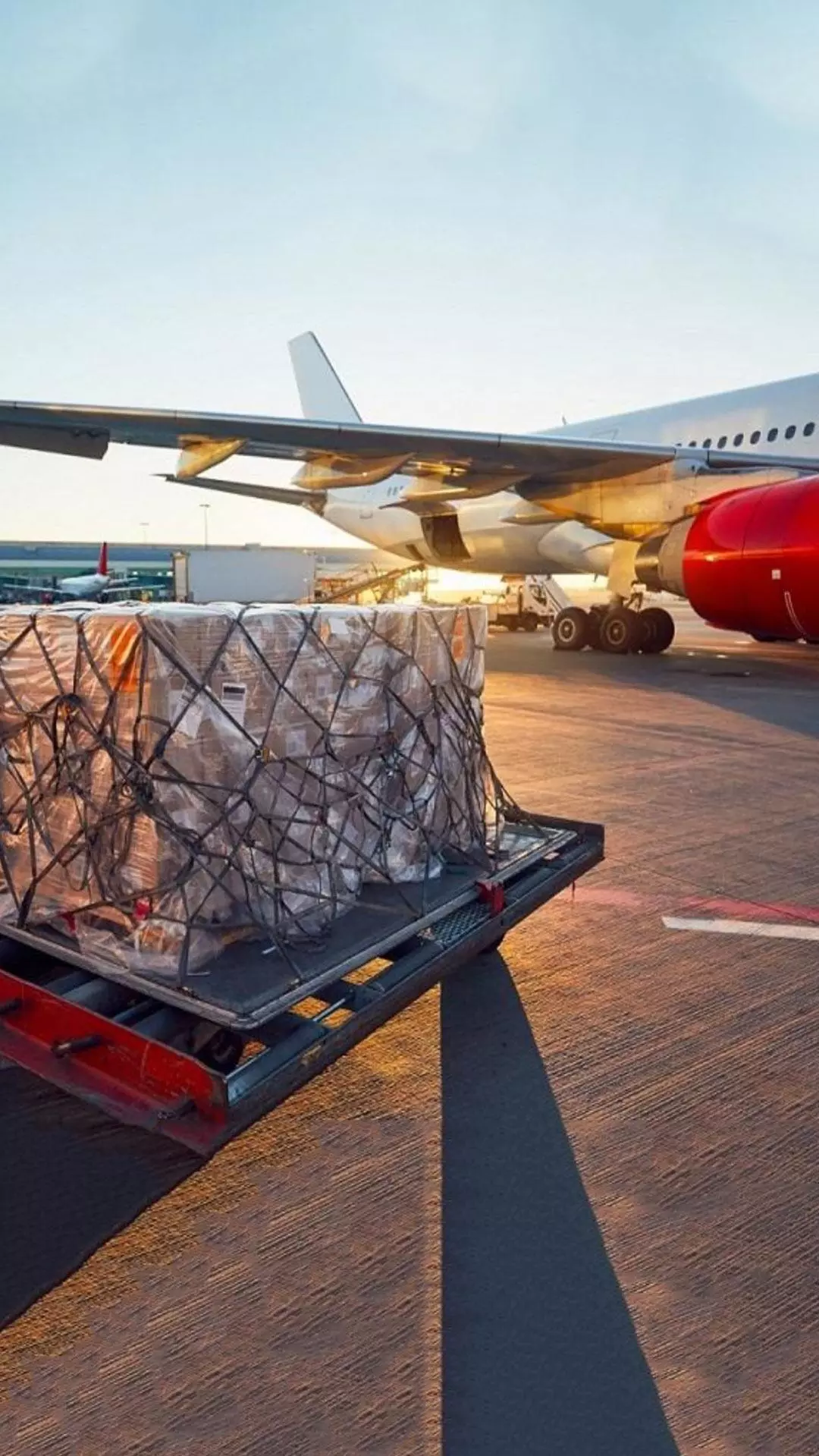 cargo.one launches cargo.one pro with global non-payment protection