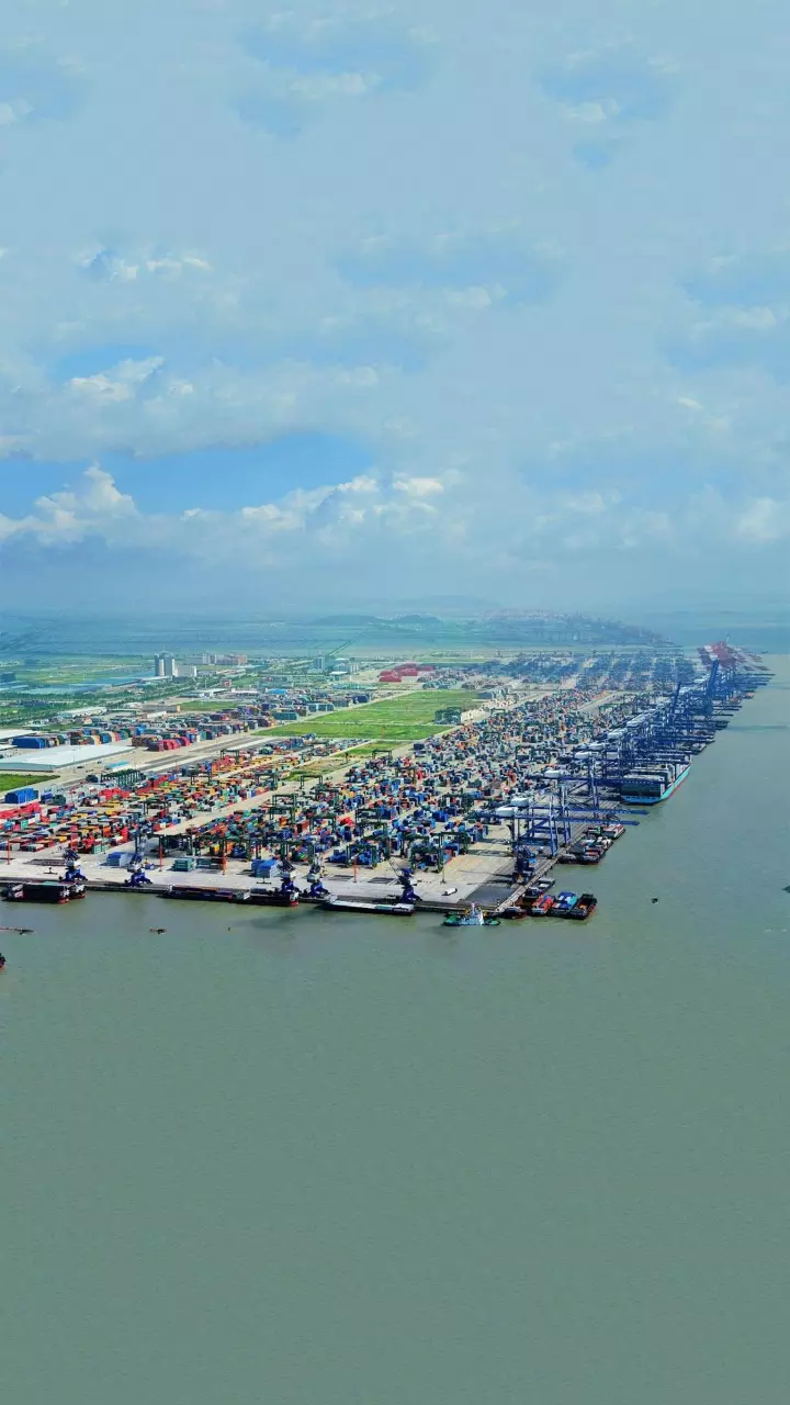 Order book of 7.54mn TEUs signals significant change: BIMCO