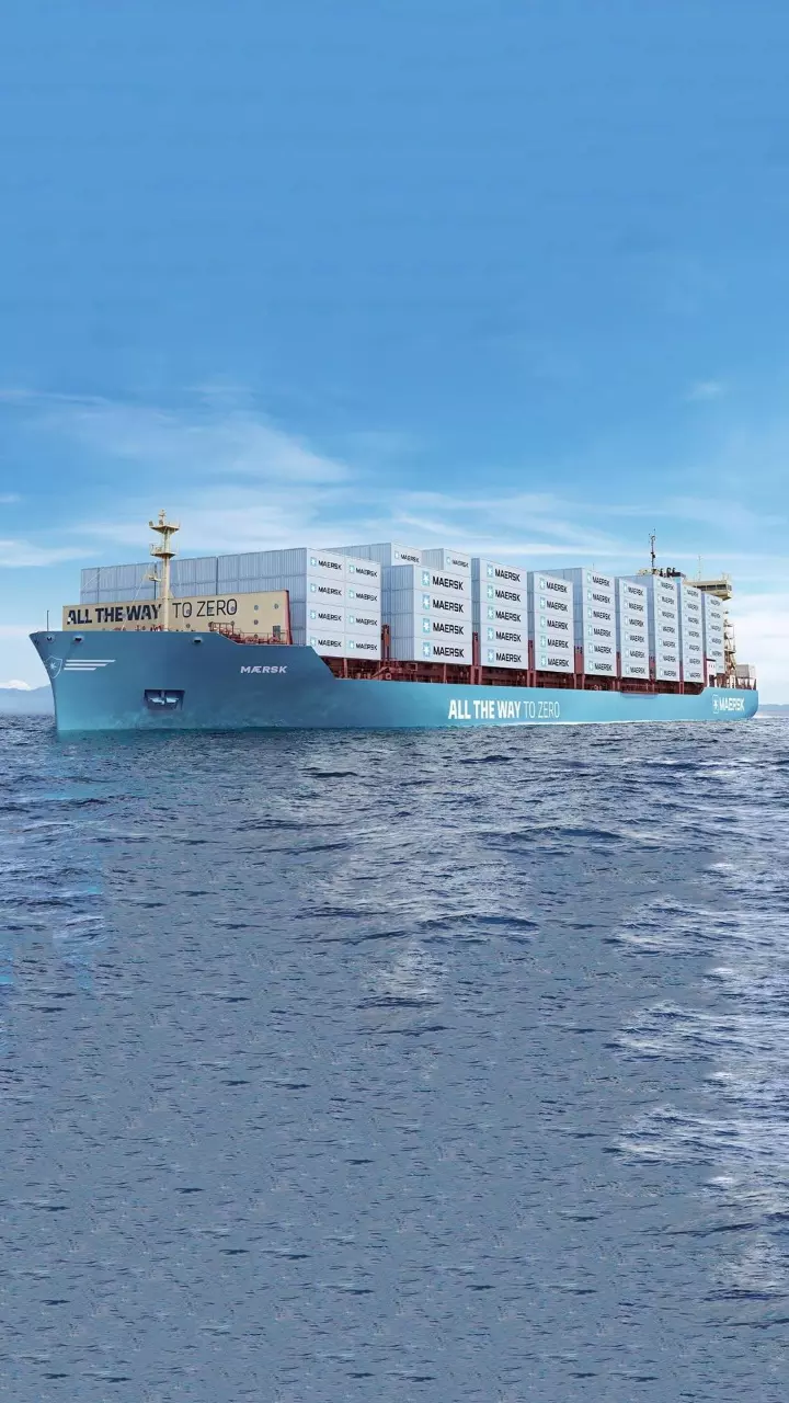 Survey suggests multi-fuel future for shipping industry