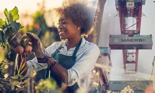 Maersk expands relationship with Microsoft Maersk expands relationship with Microsoft