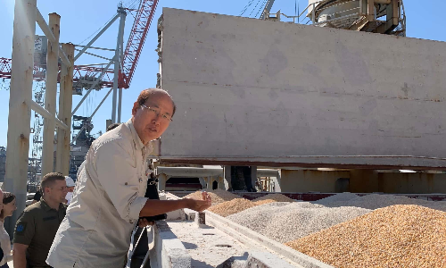 End of Black Sea Initiative: What next for Ukraine grain exports? End of Black Sea Initiative: What next for Ukraine grain exports?