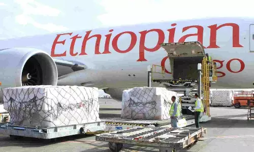African airlines report strong growth in cargo volumes African airlines report strong growth in cargo volumes