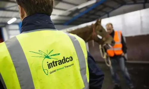 Intradco names Charlie McMullen as CEO Intradco names Charlie McMullen as CEO