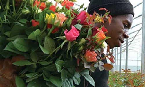 March - April 2024 March - April 2024