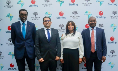 Afreximbank to offer supply chain finance in Nigeria Afreximbank to offer supply chain finance in Nigeria