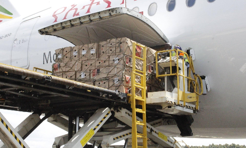 African flower trade yet to find air-sea balance in logistics African flower trade yet to find air-sea balance in logistics
