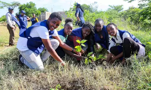 KAA to plant 50,000 more trees for combating climate change
