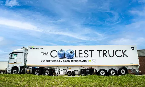 The Future of Eco-friendly Logistics in Africa The Future of Eco-friendly Logistics in Africa