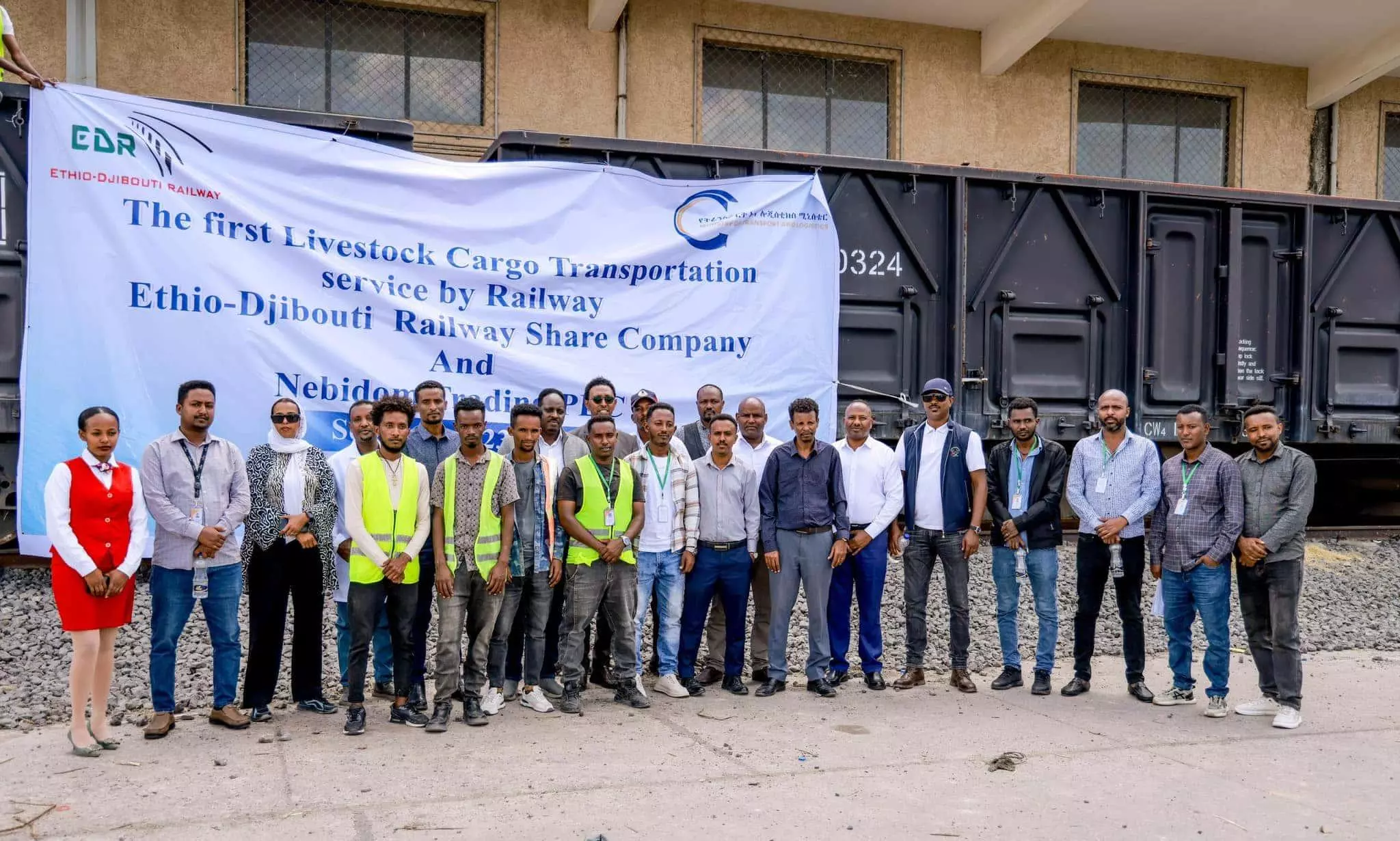 Ethiopia launches first rail-based livestock export to Djibouti Ethiopia launches first rail-based livestock export to Djibouti