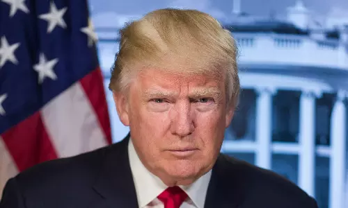 Trump win & supply chain pull forward Trump win & supply chain pull forward