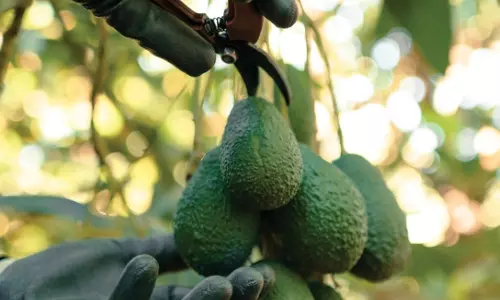 March - April 2025 March - April 2025