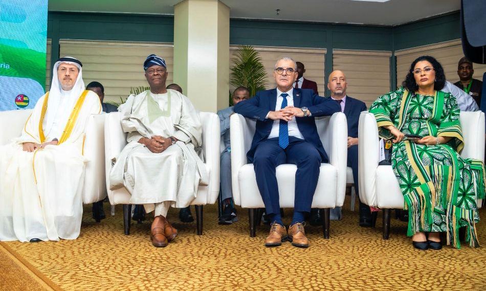 Nigeria seeks stronger African-Arab trade ties