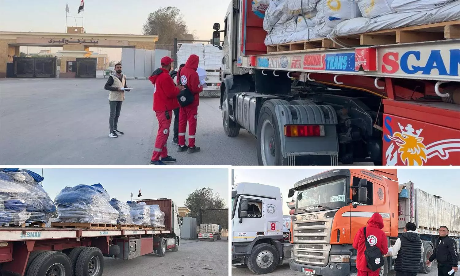 Egypt sends thousands of tonnes of humanitarian aid to Gaza Egypt sends thousands of tonnes of humanitarian aid to Gaza