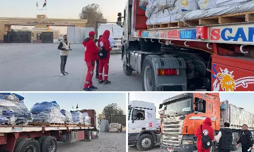 Egypt sends thousands of tonnes of humanitarian aid to Gaza