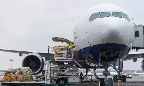 Air cargo must get fair airport slot access, says IATA head