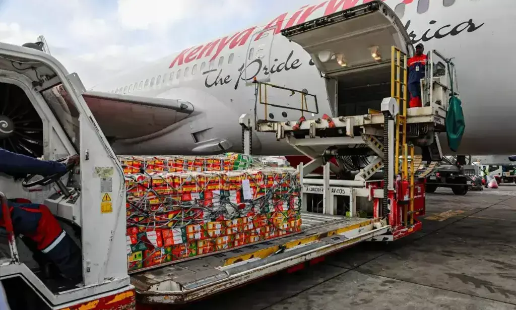 Kenya ships first-ever Apple mango consignment to the UK market