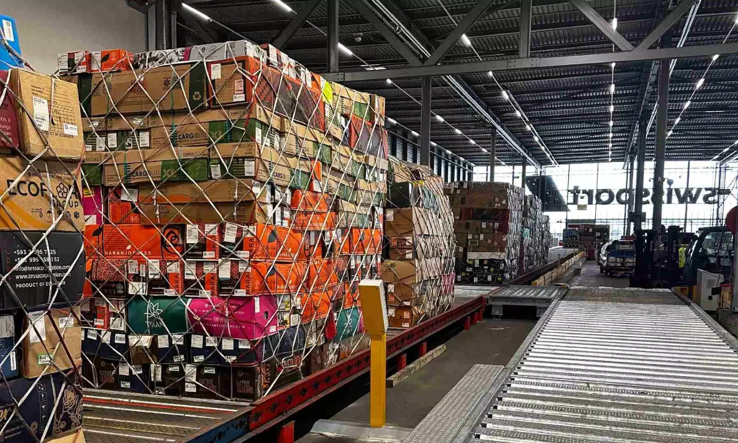 Strong production, tight lift: Kenyan flowers head into Valentine’s Day