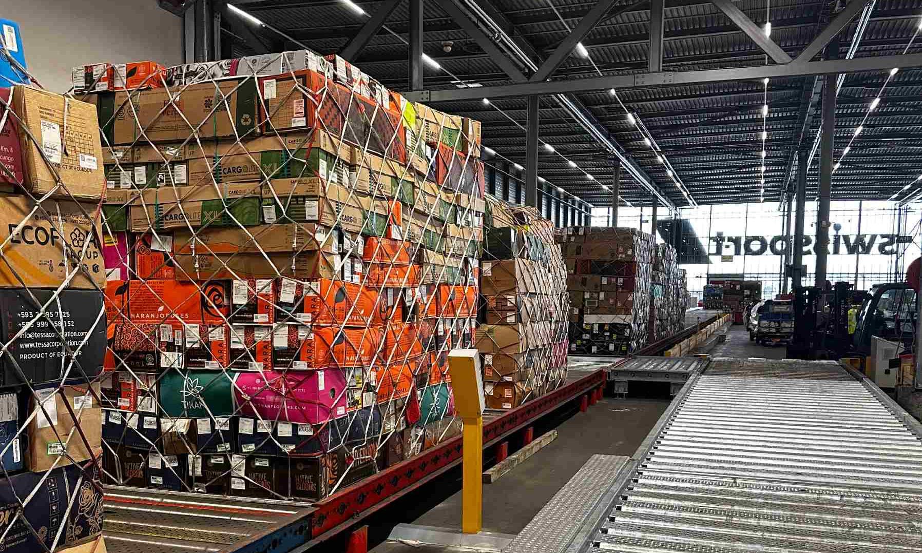 Strong production, tight lift: Kenyan flowers head into Valentine’s Day