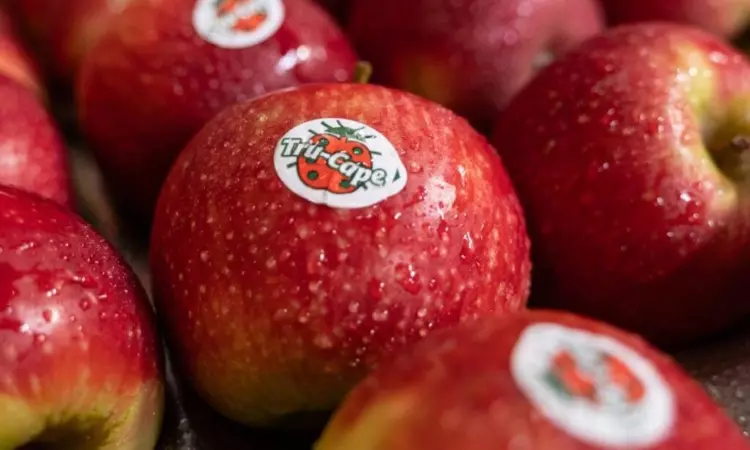 South African apple shipments to grow, pears face lower volumes