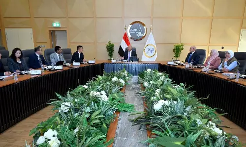 Egypt pushes auto localisation to strengthen logistics and exports