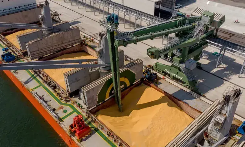 Delo Group considers Oman grain hub for East African markets