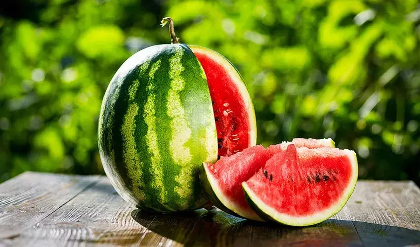 Morocco’s watermelon exports rebound in 2025 after climate-hit slump