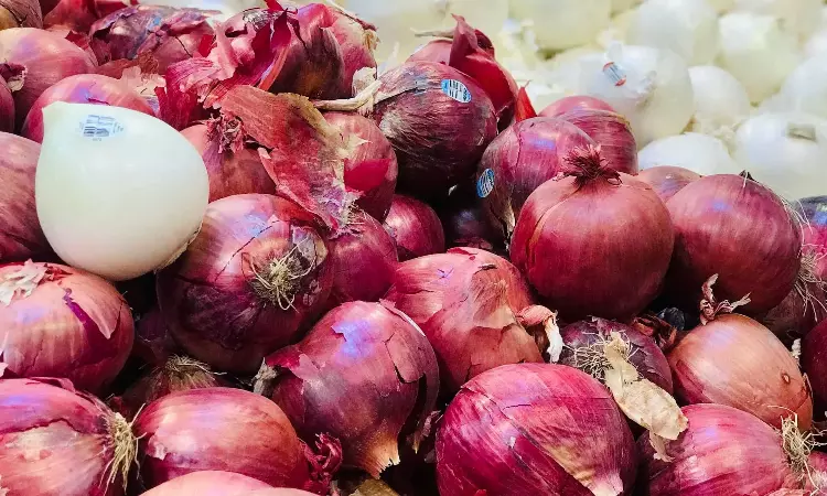 Egypt opens Vietnam market to fresh onion and garlic exports