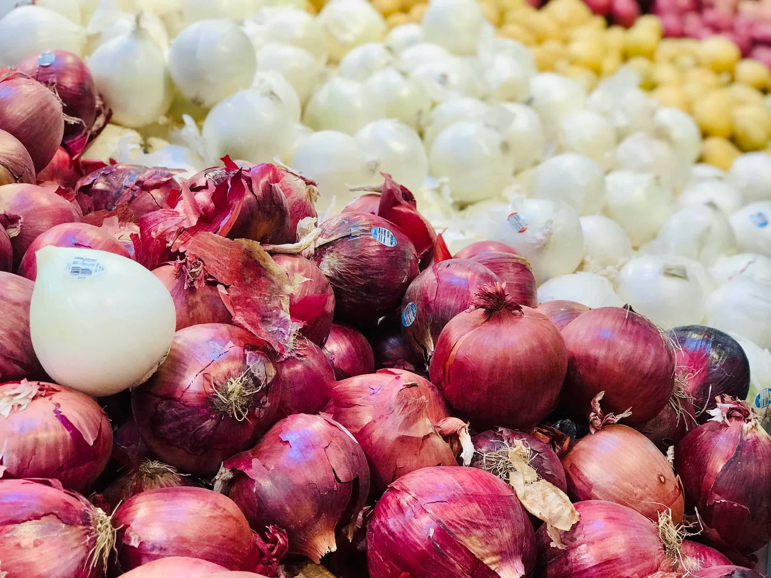 Egypt opens Uruguay market to onion and garlic exports
