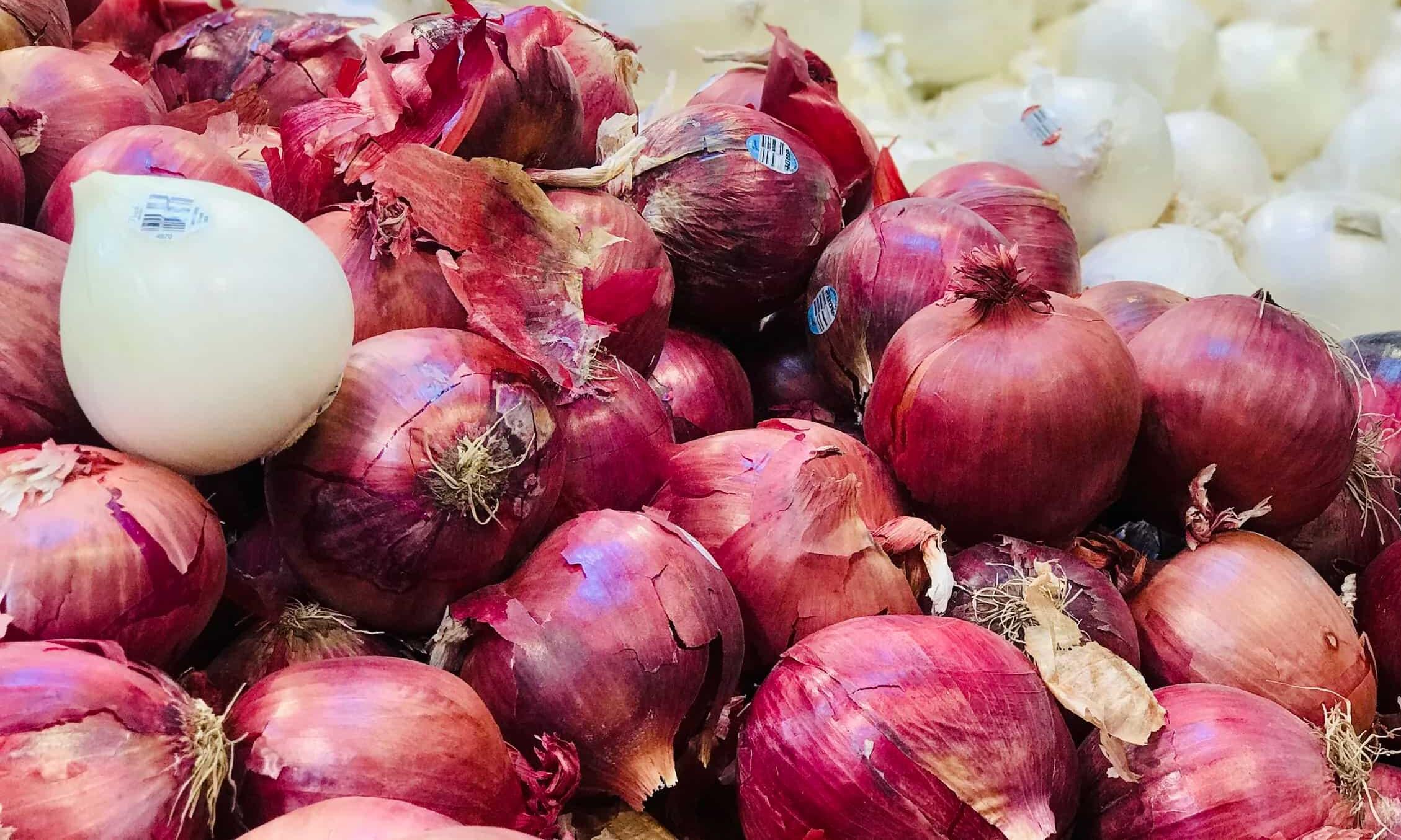 Egypt opens Vietnam market to fresh onion and garlic exports