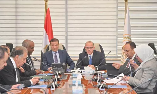 Egypt eyes Africa investment entity to strengthen food supply chains