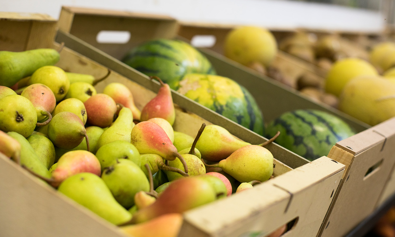 Middle East conflict drives up South Africa's fruit shipping costs