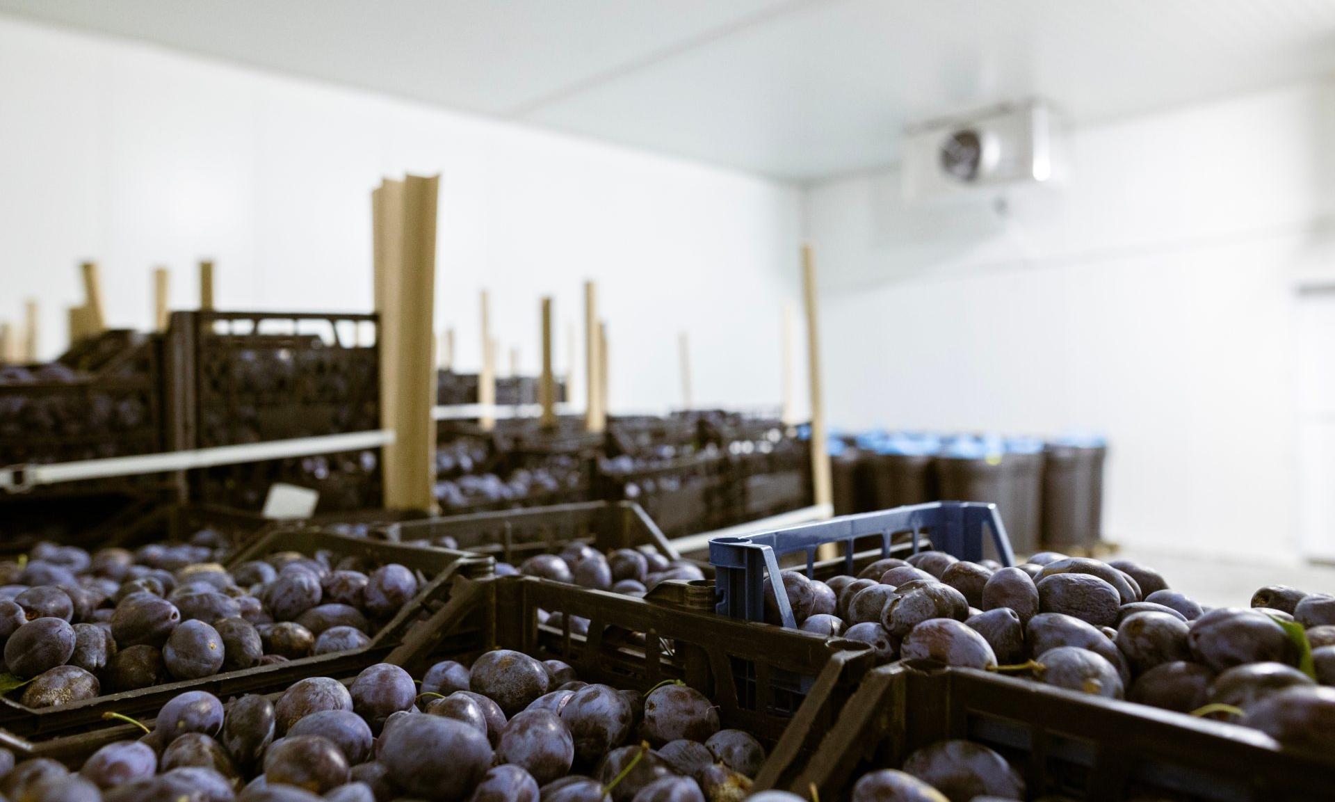 Africa’s cold chain gaps persist despite rising investments