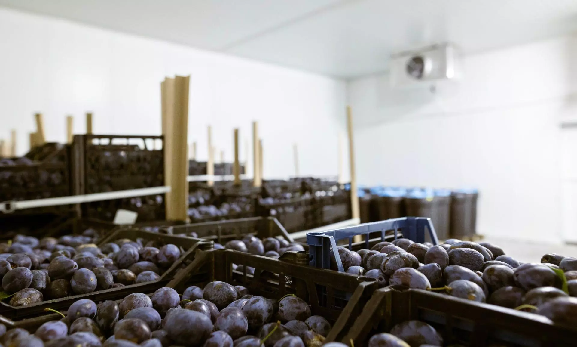 Africa’s cold chain gaps persist despite rising investments