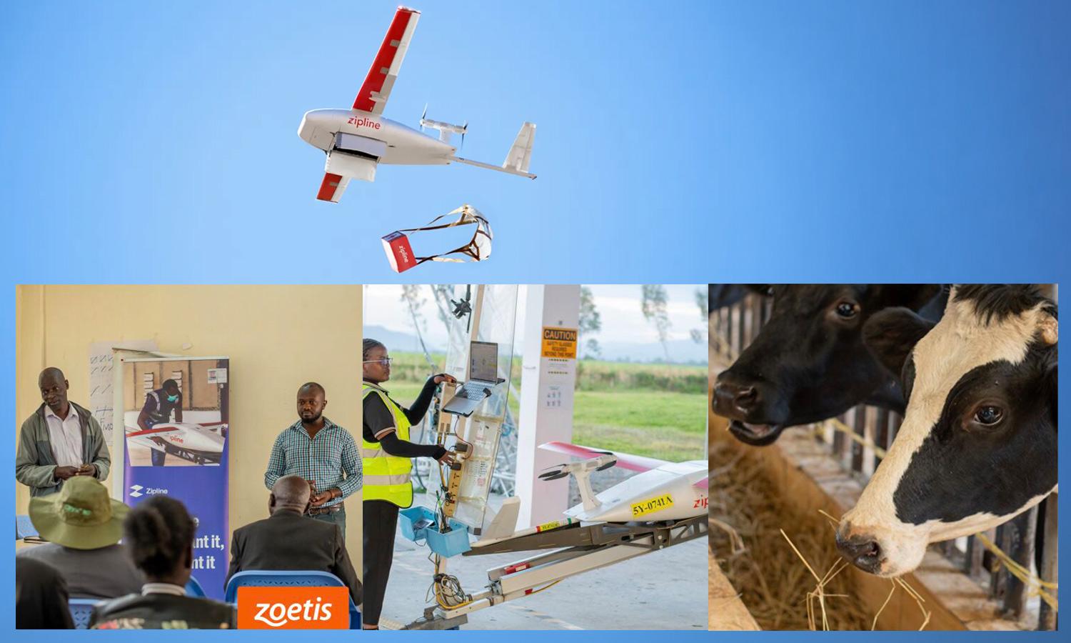 Zipline collaborates with Zoetis to deliver veterinary care via drones across Kenya