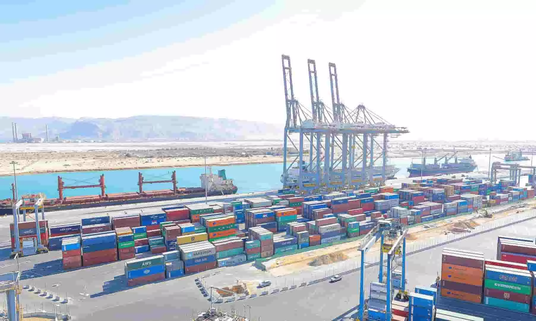 Egypts citrus boom is powered by Ain Sokhna Port efficiency