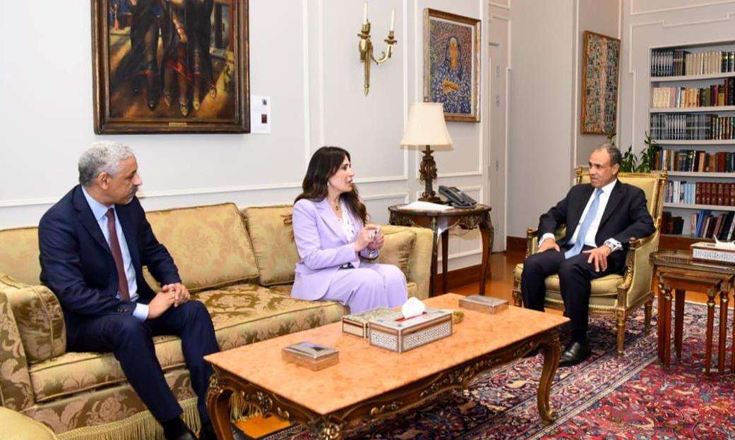 Egypt, AfDB discuss transport expansion in Cairo, New Capital