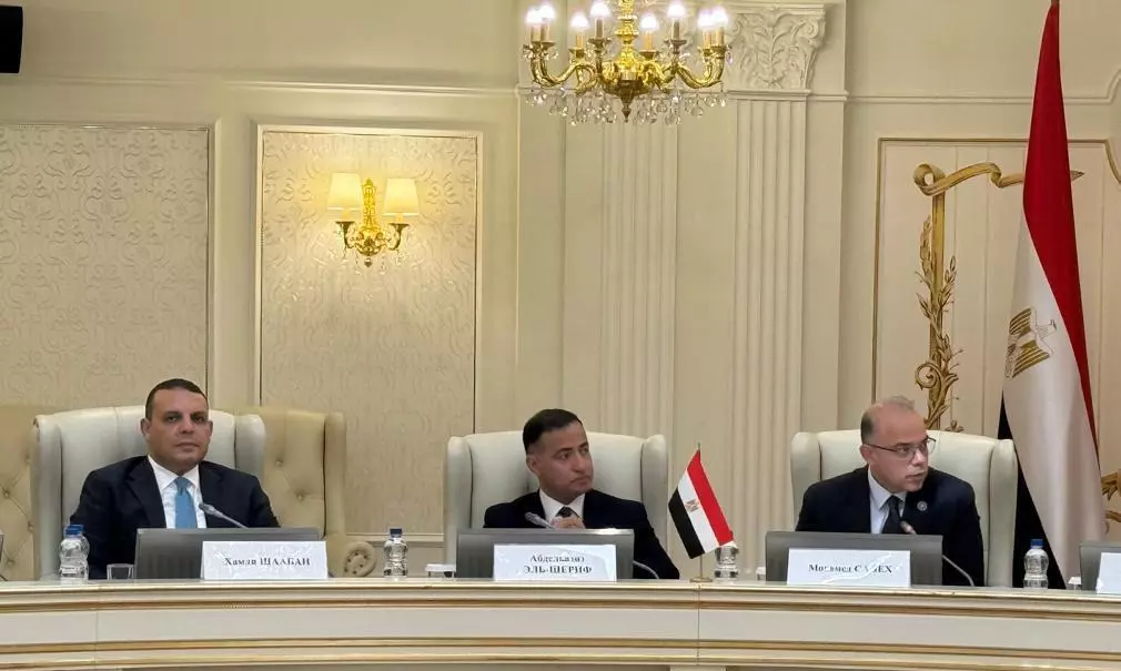Egypt and Belarus expand industrial partnership
