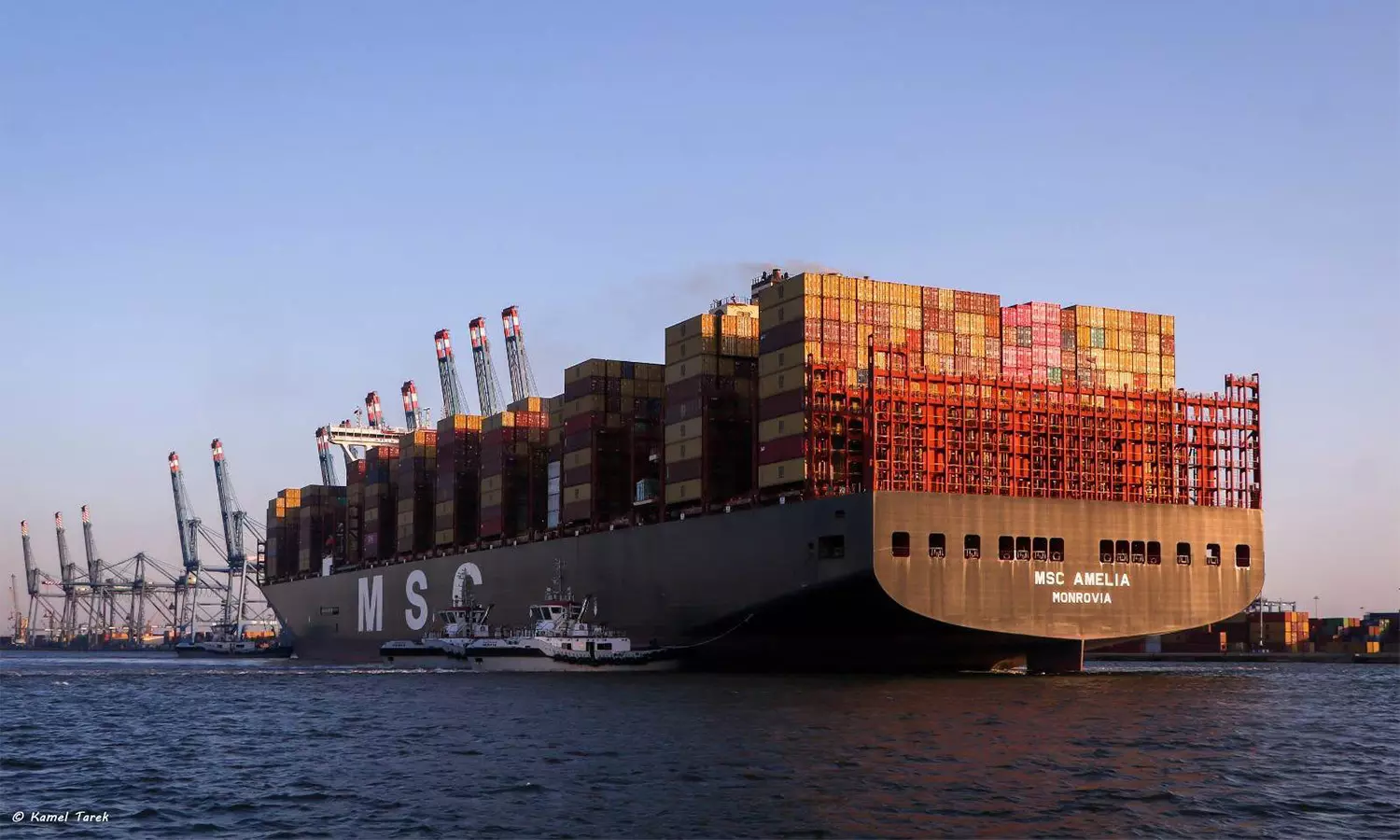 Damietta Port hits record-breaking cargo volume in 2025/26 annual run Damietta Port hits record-breaking cargo volume in 2025/26 annual run
