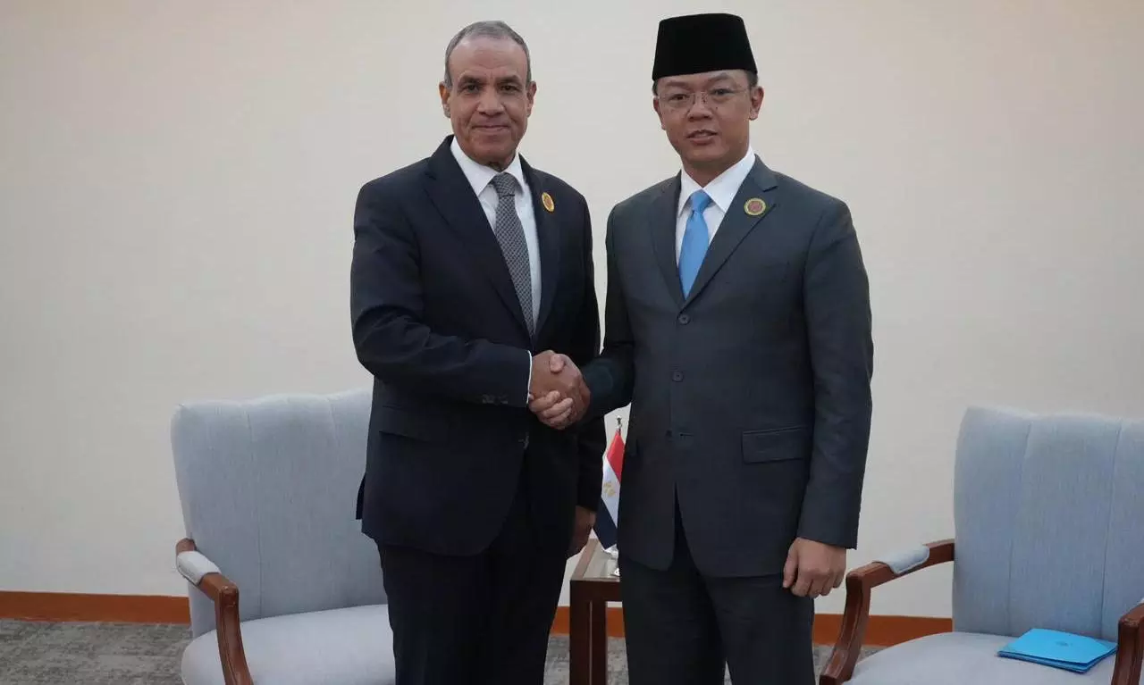Indonesia, Egypt to expand trade and investment ties through Aswan Indonesia, Egypt to expand trade and investment ties through Aswan